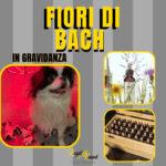 QUANDO USARE I FIORI DI BACH CON IL NOSTRO CANE?